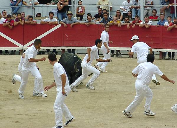 <span style="color:#0000FF;">SOUVENIRS :</span><br> <span style="color:#FFFAFA;">.</span> <br>Cocarde d'Or 2002, commentaires et photos