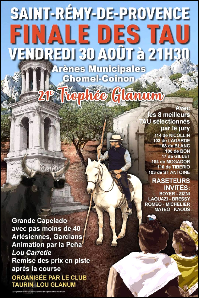 St Rémy de Provence :<br>Organisé par le CT Lou Glanum : Finale des Tau