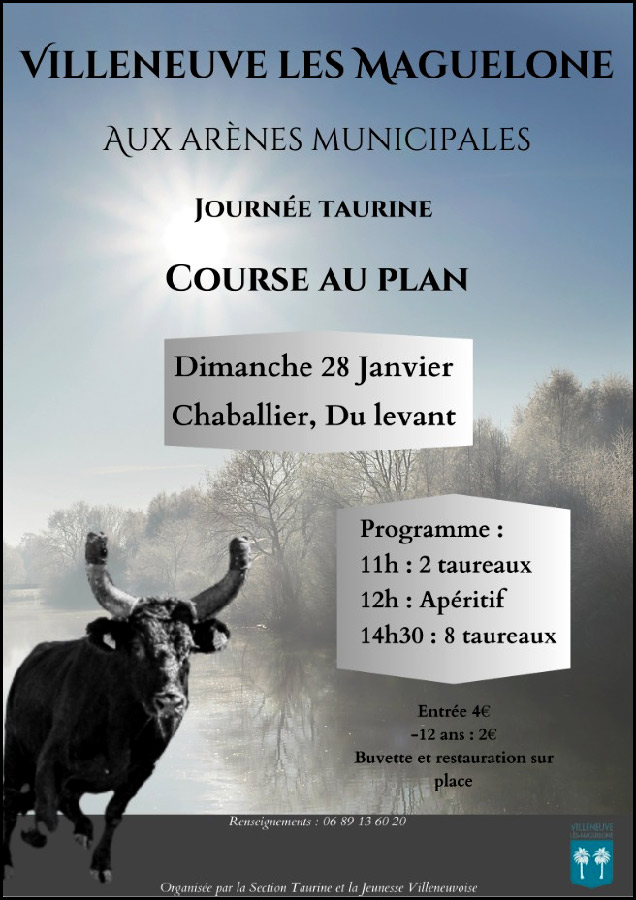 Villeneuve-lès-Maguelone :<br>Journée Taurine organisée par la jeunesse