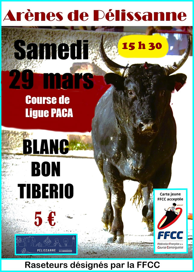 Dans les arènes de Pélissanne : course de Ligue