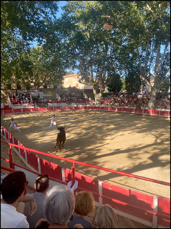 Remoulins : Finale Cerise d'Or