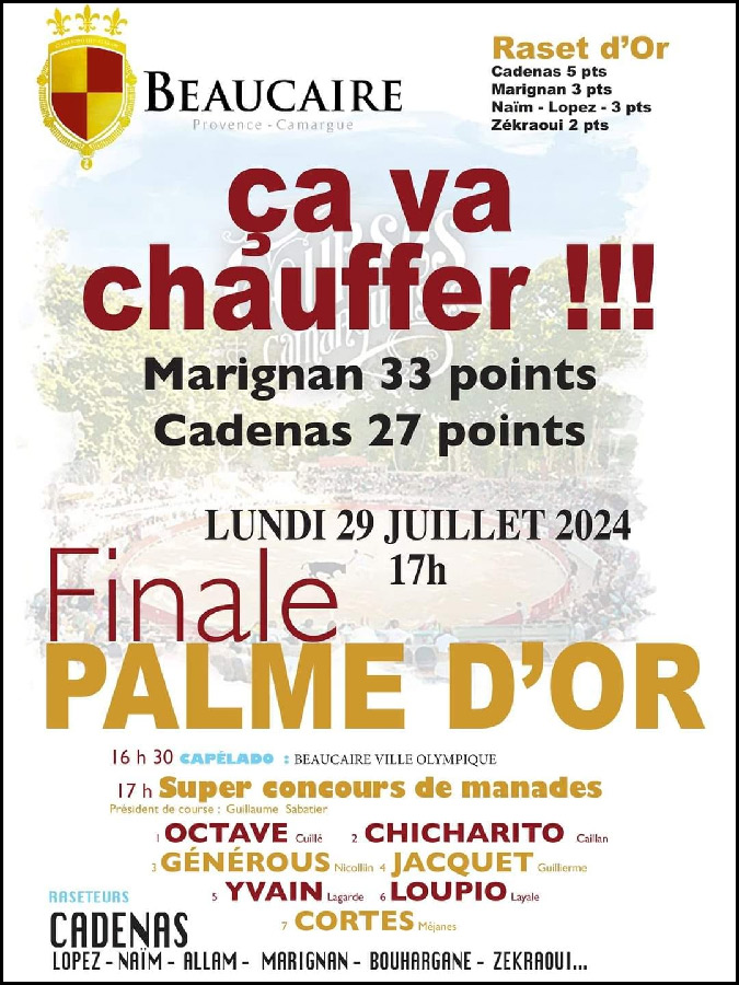 Beaucaire : Affiche Finale de la Palme d'or 2024