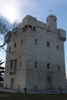 Tours en Camargue 1101