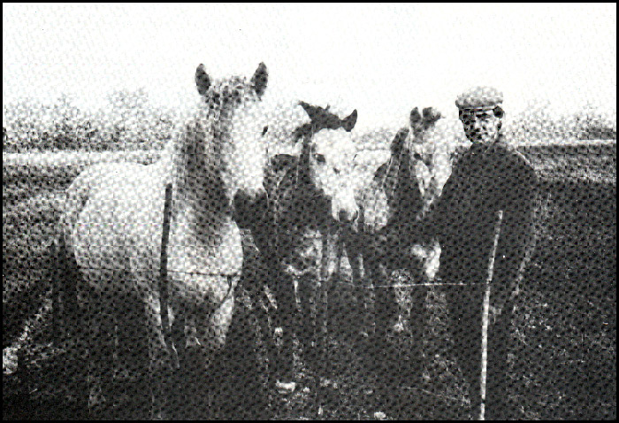 PLO Jean-Louis