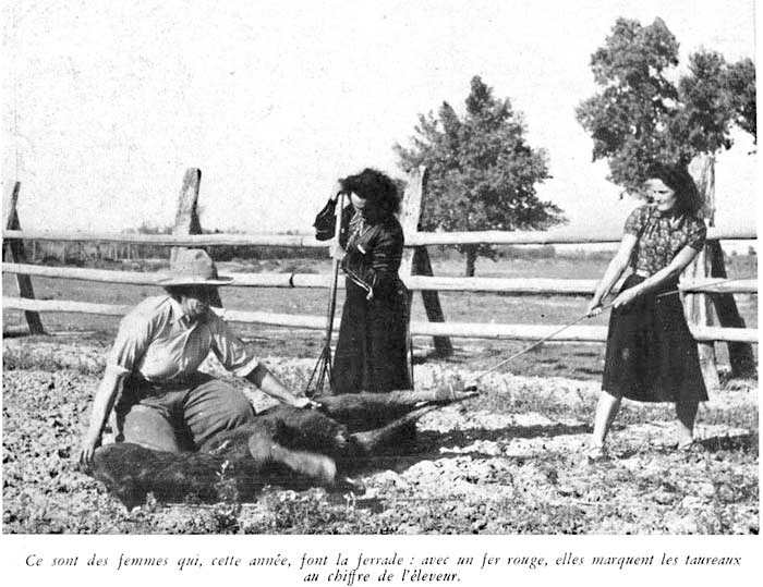 Gardianes de Camargue