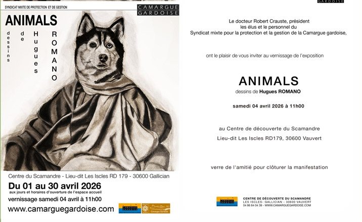 Scamandre :<br>Vernissage exposition de dessins