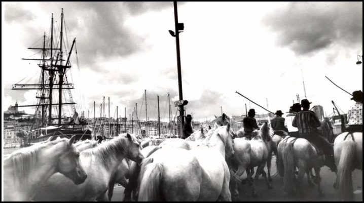Cavalcade sur le Vieux-Port 2023