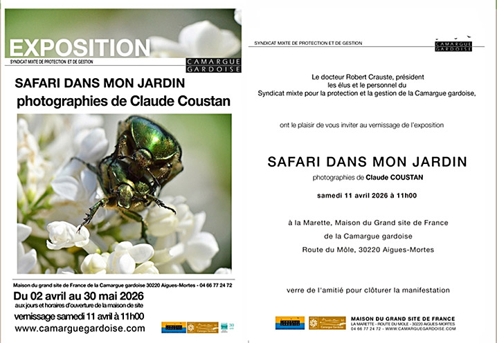 Maison du grand site de France, Aigues-Mortes :<br>Vernissage expo-photo "Safari dans mon jardin"
