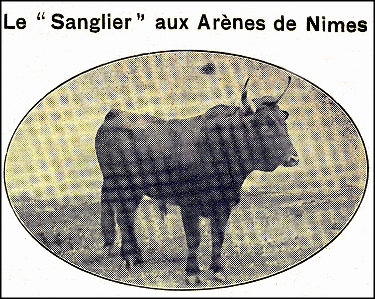 "Le Sanglier" annoncé à Nîmes