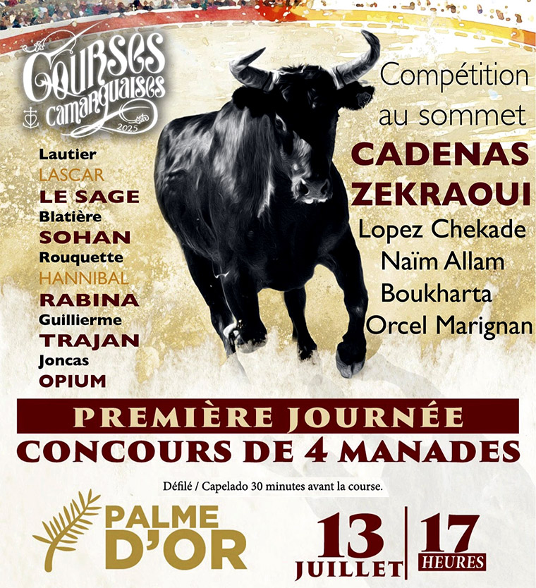 Beaucaire :<br>1ère Journée de la Palme d'Or<br>.