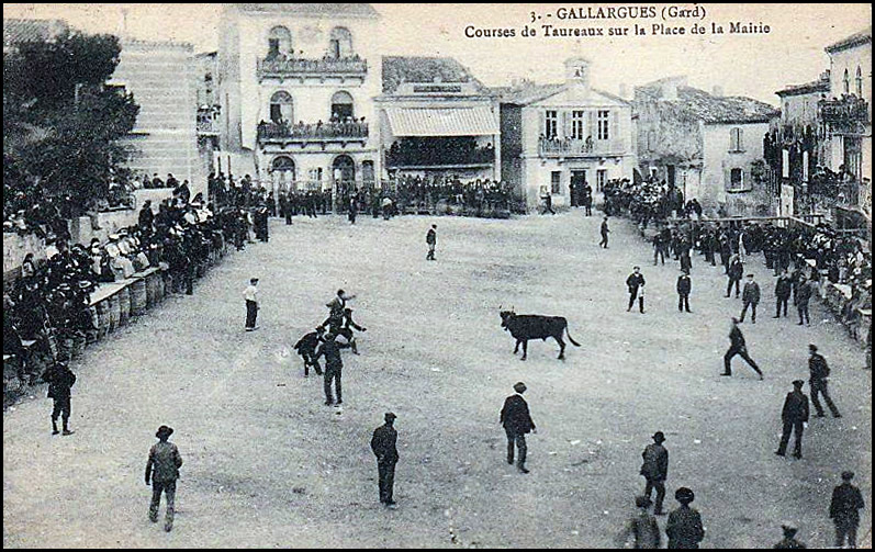 Cette arène, c'est celle de... ?