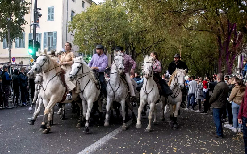 L'horaire de l'abrivado du 18 mai 2024 à Nîmes est modifié !