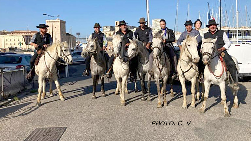 La Camargue et ses traditions sur la Corniche de Marseille.