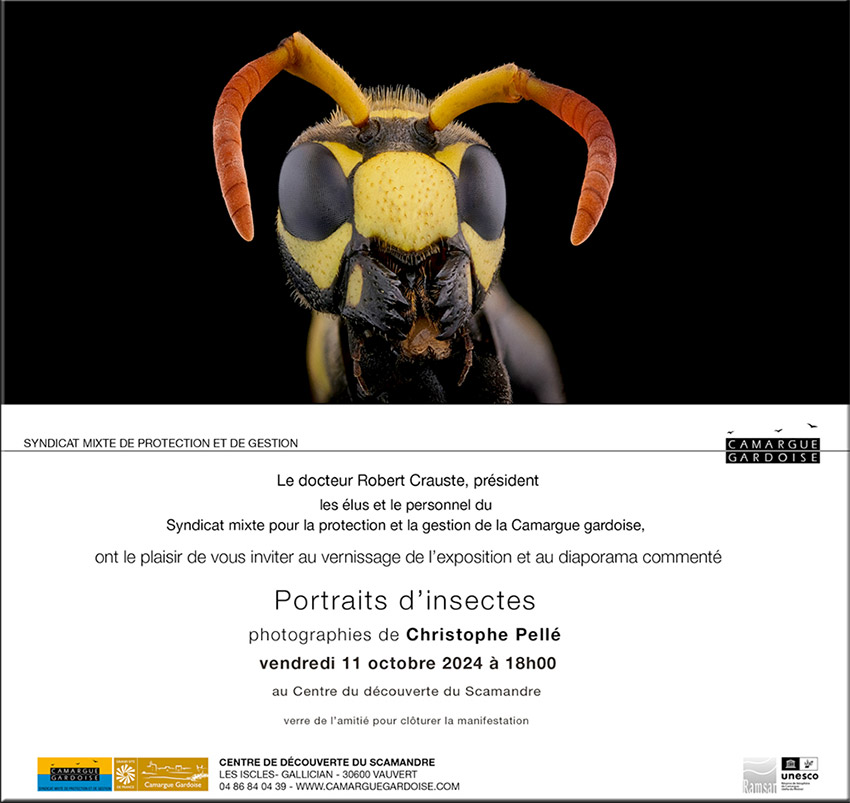 Au Centre du Scamandre :<br>Exposition et diaporama commenté.<br>.