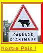 Le F.L.I.C. a tout compris...