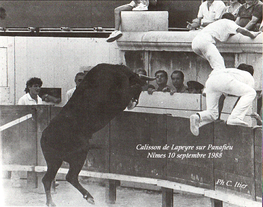 CALISSON de Lapeyre ne mourège pas !