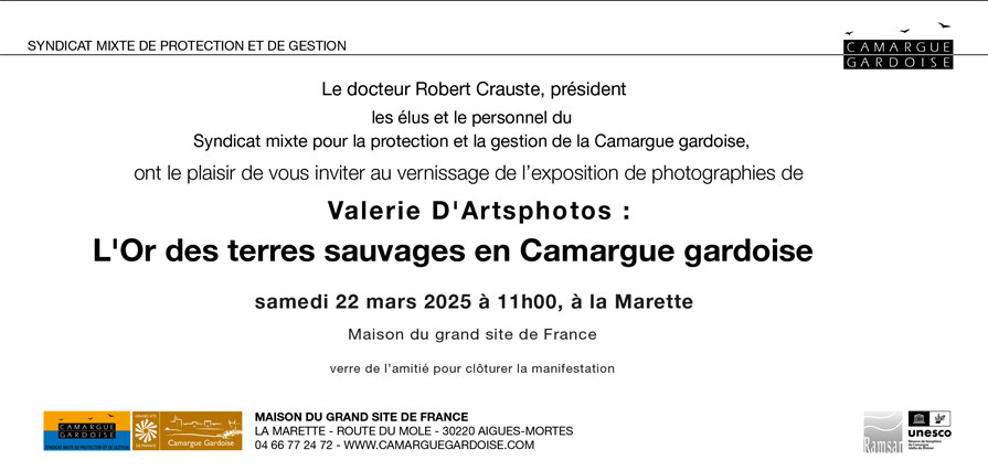 Exposition photo :<br>"L'Or des terres sauvages en Camargue gardoise.