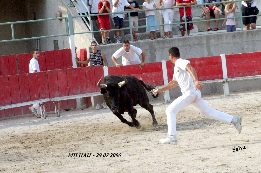 Une réaction après la Finale du Muguet d'Or.