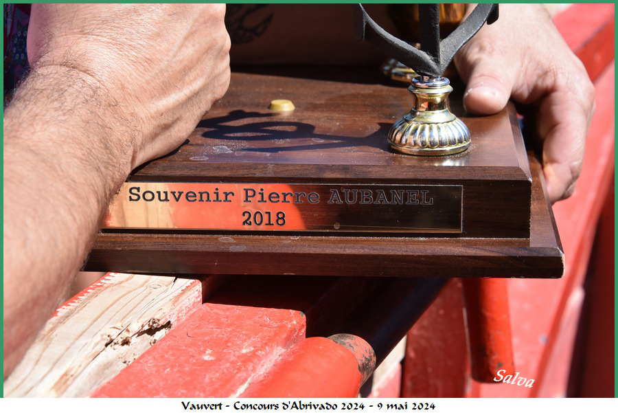 2024 : c'était le 37ème concours d'abrivado de Vauvert (2/2)