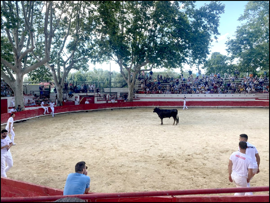 Lorsque vous allez aux arènes de Montfrin,