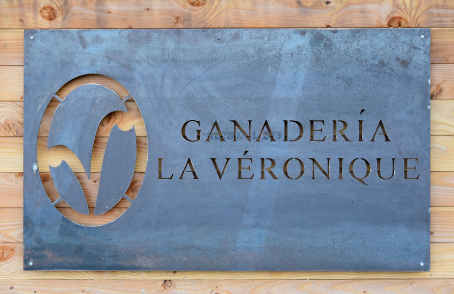<u>Le Cailar :</u><br>Tentadero a la ganadería "La Verónica"<br><span style="color:#FF0000;">Première partie</span>