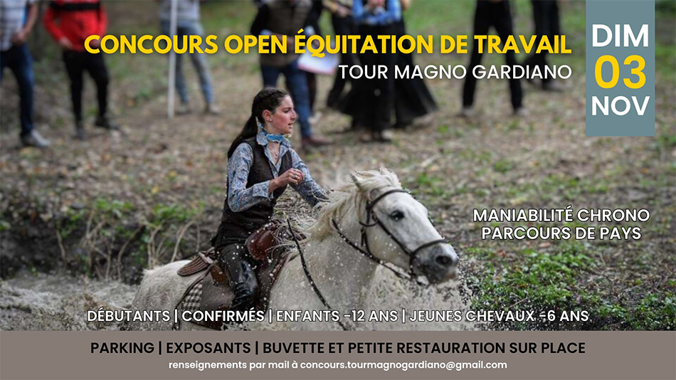 Centre équestre Tour Magno Gardiano 750 Chemin...