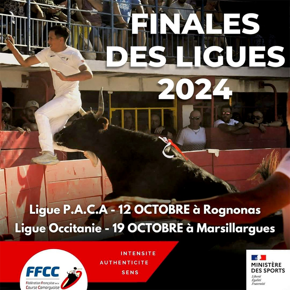 Finale de la Ligue P.A.C.A.