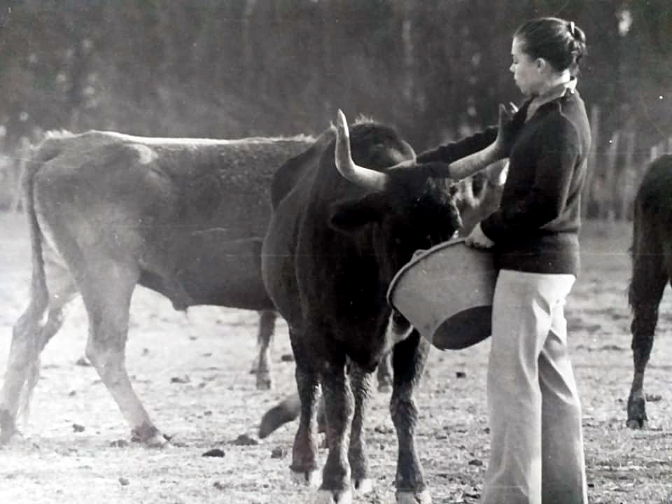 Rebufat : La fin....