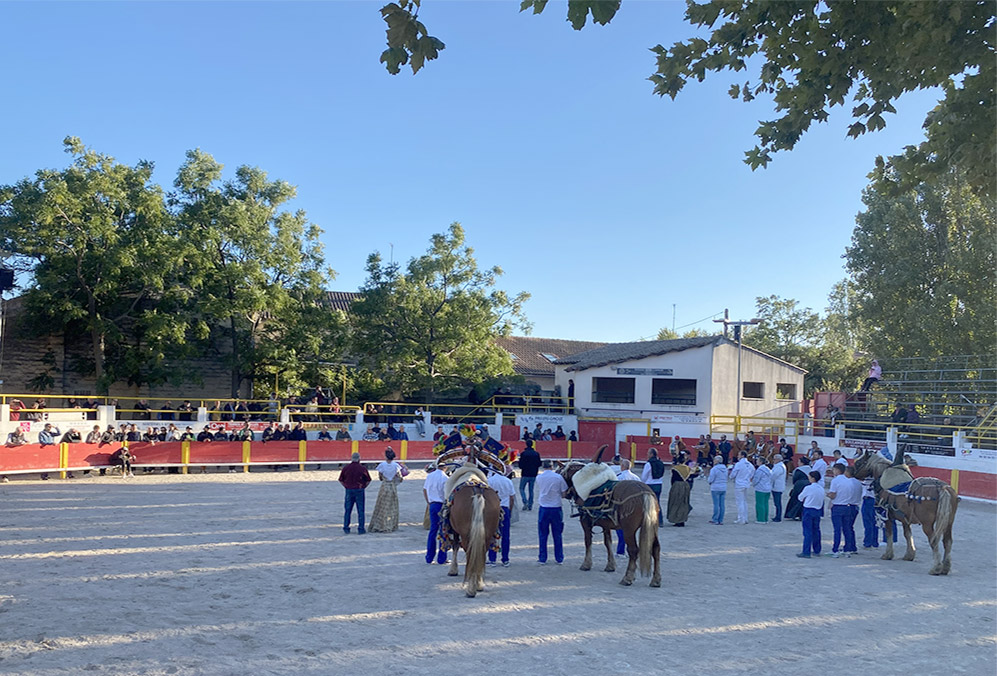 Rognonas :<br>36è finale du Trophée des Charretiers